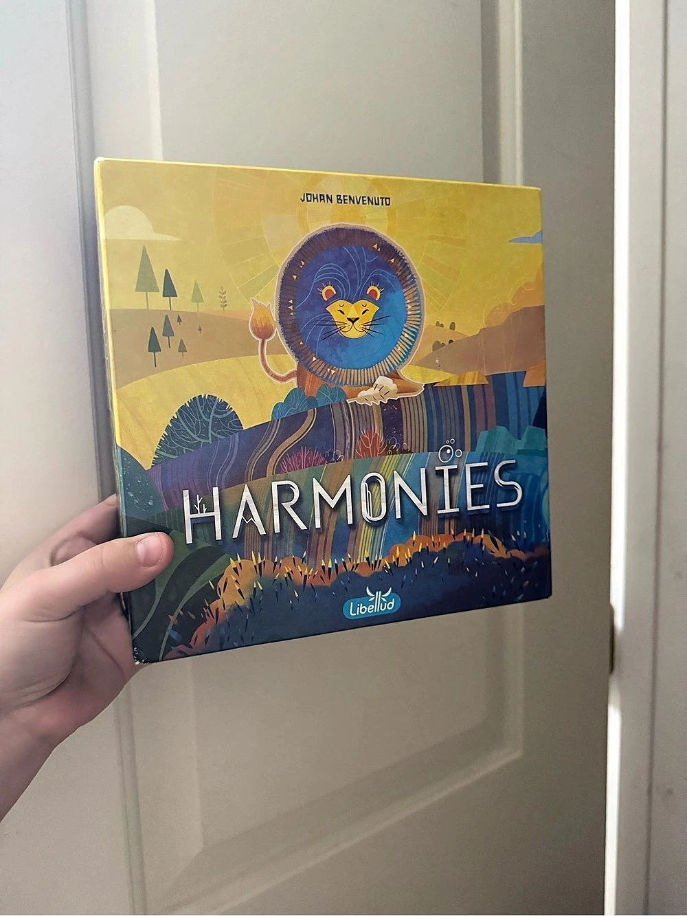 Lobelia Harmontes Puzzle Game Yellow & Blue Like New